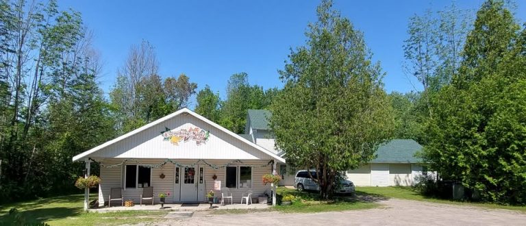 489068681 1226685699456985 3903975830980670294 n 768x330