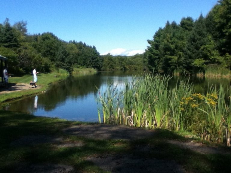 301641862 395086286112750 7762851114623567469 n 768x576