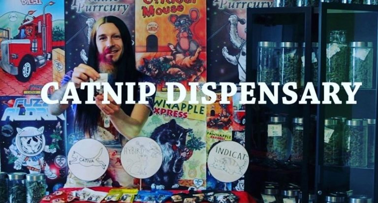 475191238 966226742238129 833790935991739232 n 768x413