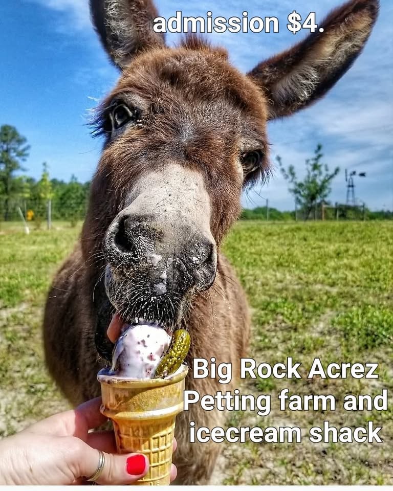 476235256 641459395219402 5798271438229694926 n