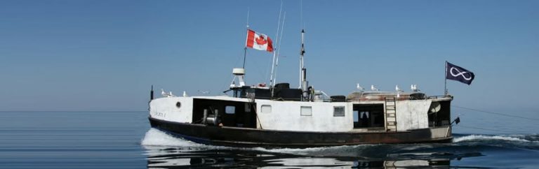 482138724 1180395844093999 6520675681556703381 n 768x242