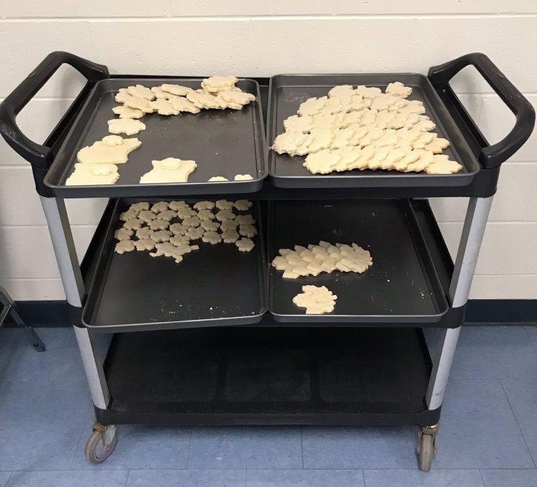 494013731 1122748093204333 254640053398799310 n 768x697